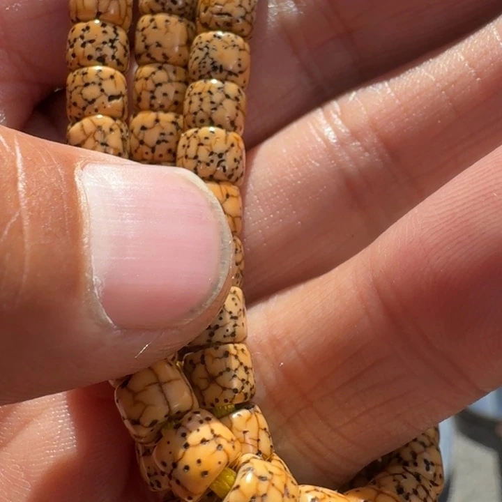 星月菩提吊坠菩提树等树木的生长