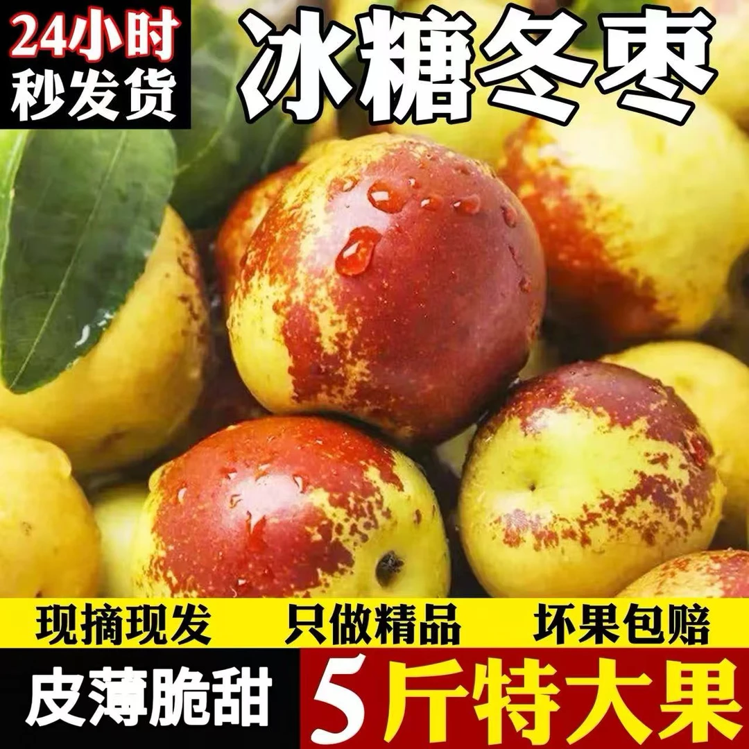 【现摘现发】现摘沾化冬枣五斤装 脆甜多汁 新鲜水果 当季整箱大果