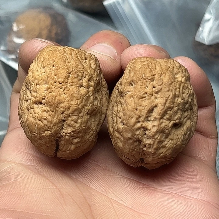 文玩核桃把件54号饕餮41尺