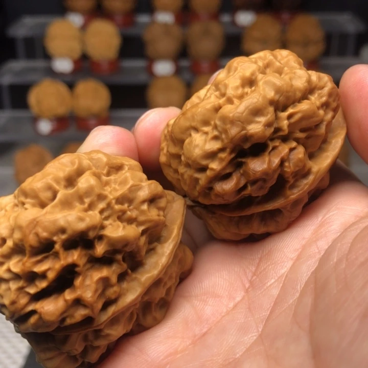 把件文玩核桃12上古金蟾