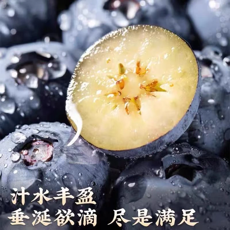 【顺丰】新鲜采摘 花香蓝莓 脆甜多汁 花青素孕妇水果