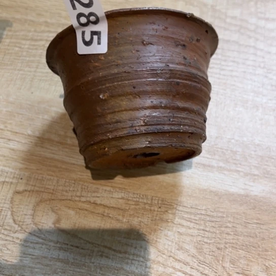 月***了123456689866788866