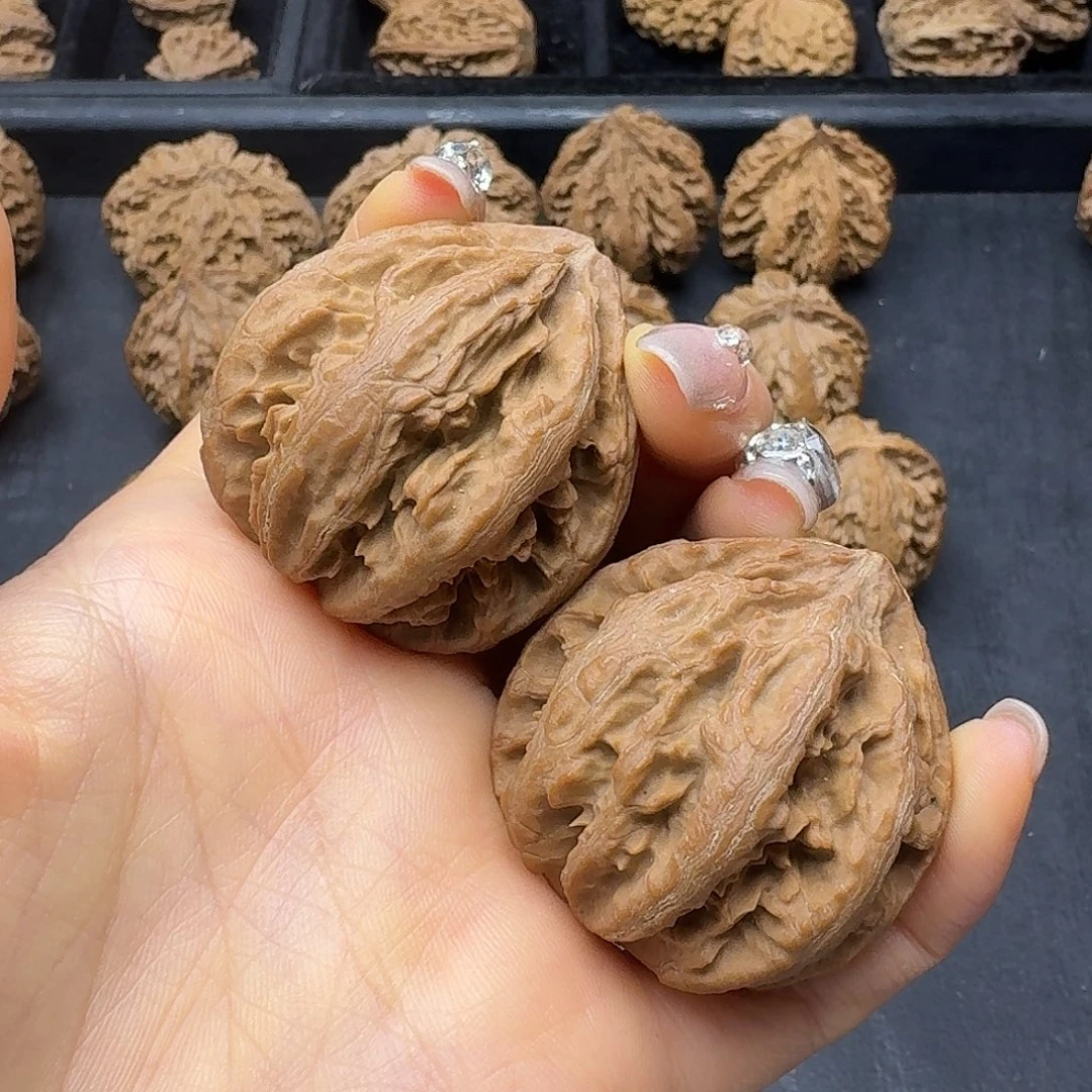 桃木突突突突突突