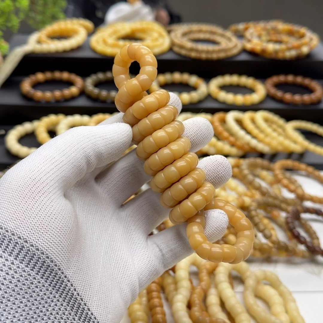 【闪购商品】菩提根/象牙果吊坠卡10大肠 5年 精工