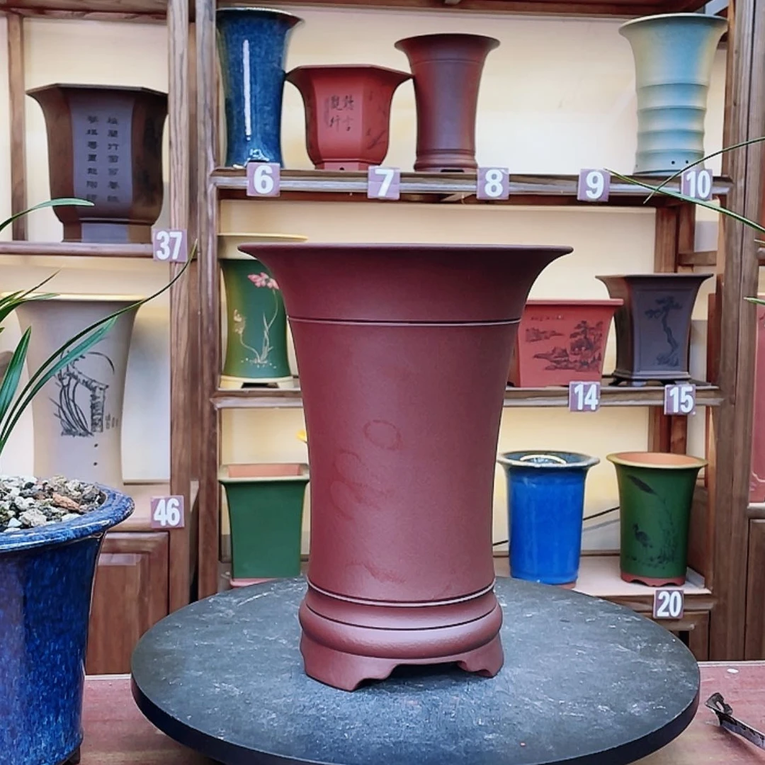 【闪购商品】紫砂花盆兰花455985255588881558