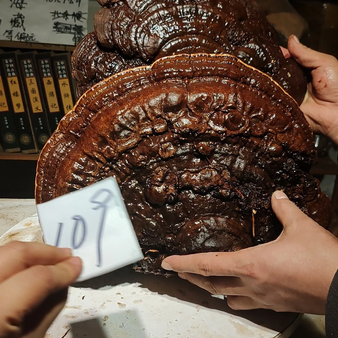 松木洋**海北沉香琥珀木摆件2