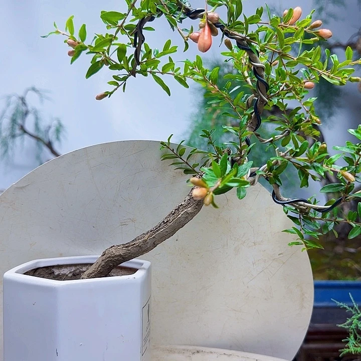 五***哥而如意哦哦哦哦柔风甘雨