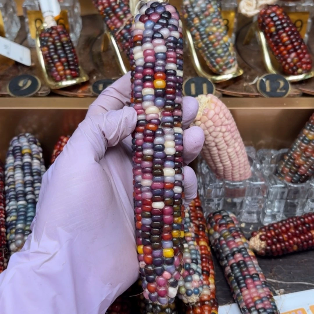 柏香籽/百香籽吊坠竹****妈