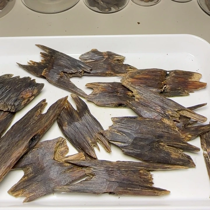 树脂制品宇*原母树陆河80克