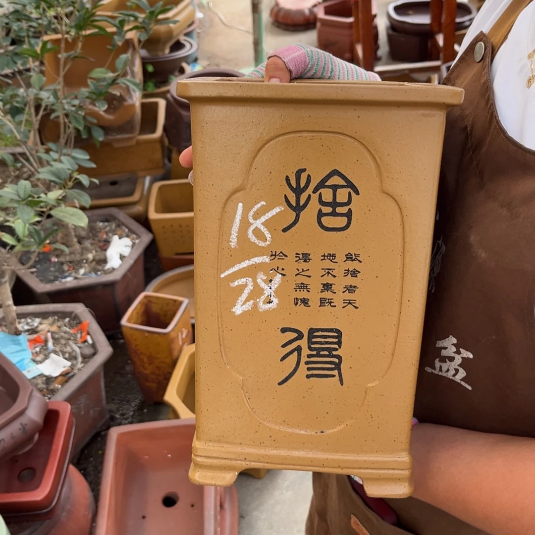紫砂花盆盆景艺术