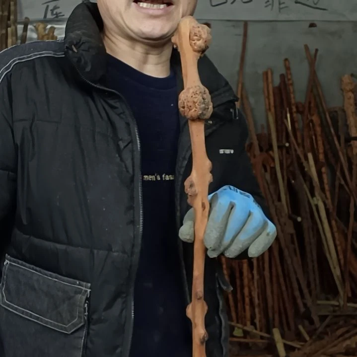 稳定木胡*江贵州檬子木   铁马鞭   根艺  半成品