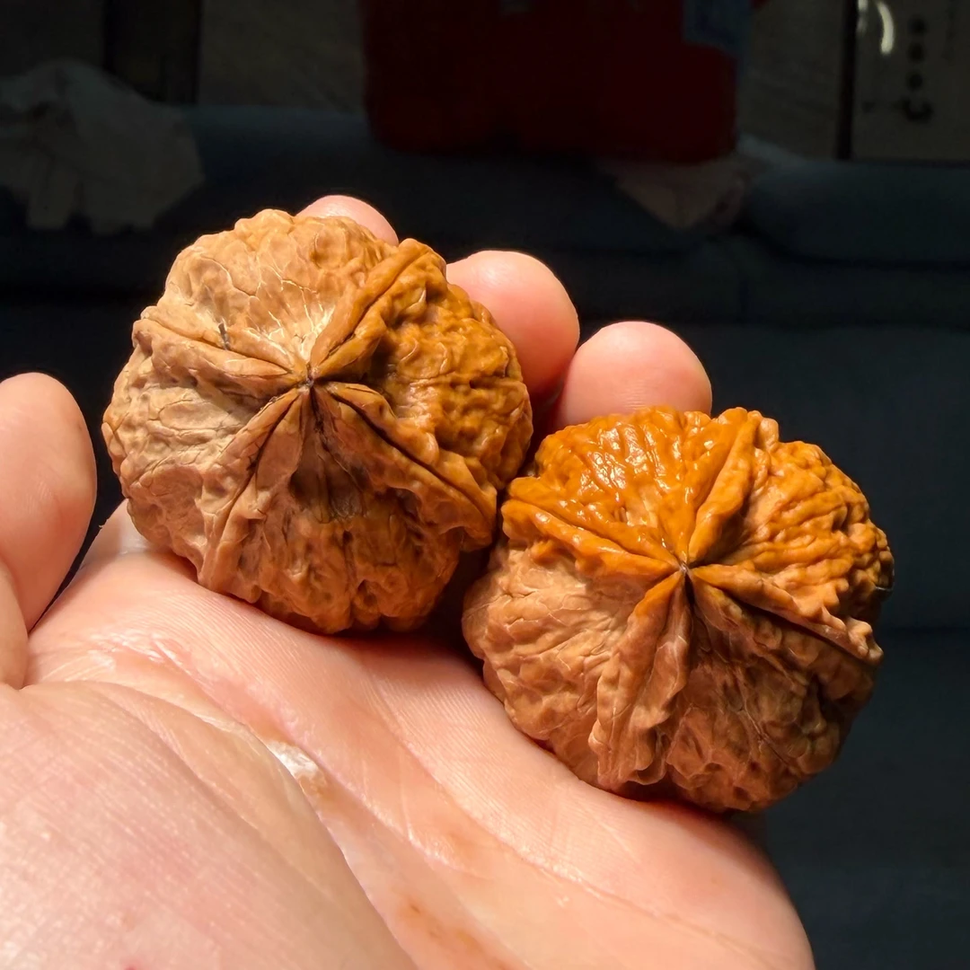 文玩核桃把件铁35号 霸王三棱 四棱 款式可选