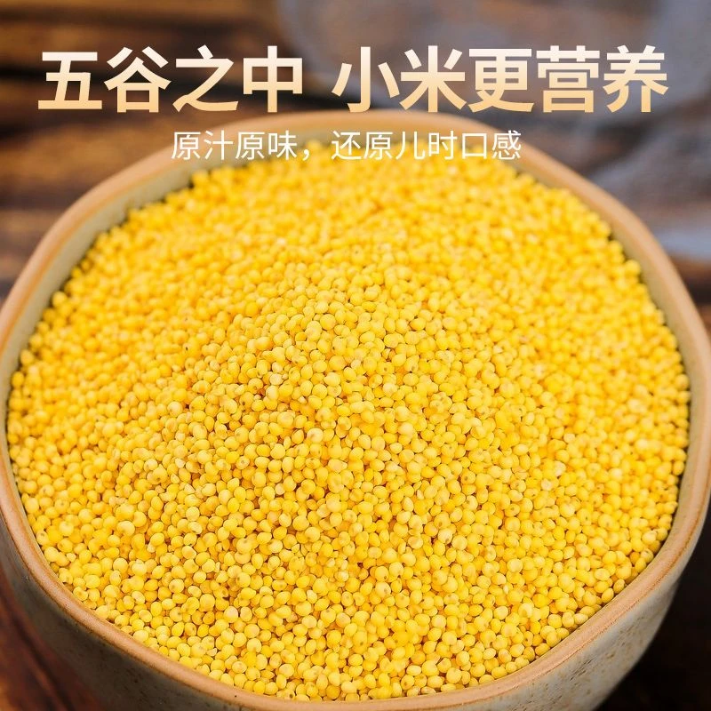 A25年新小米赤峰黄小米农家新米5斤金苗小米熬粥香糯新鲜食品敖汉