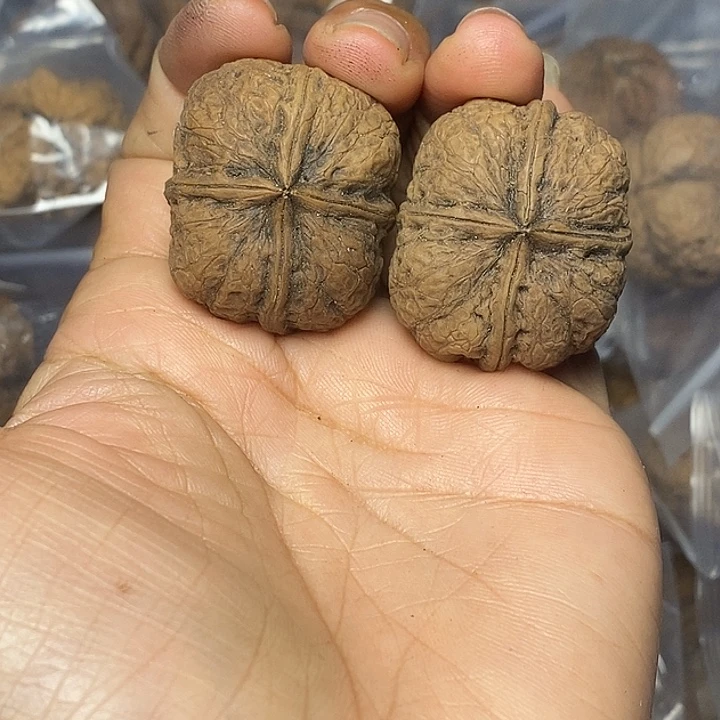 把件文玩核桃云南铁核桃78