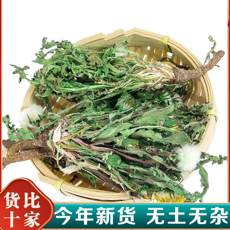 芫一堂蒲公英茶蒲公英整根泡茶泡水蒲公英