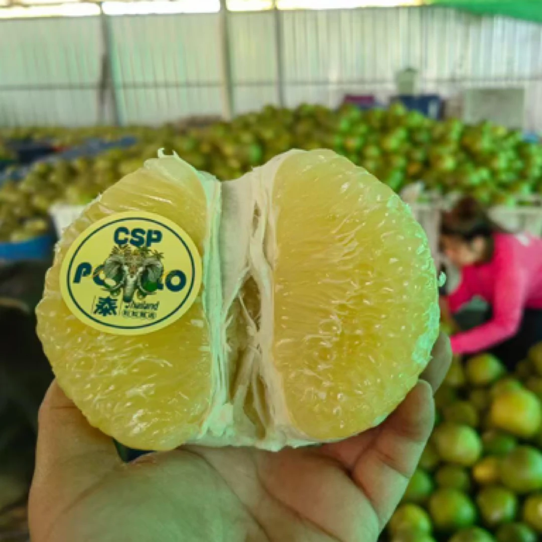 【军哥严选】泰国安帕瓦白蜜柚2枚装