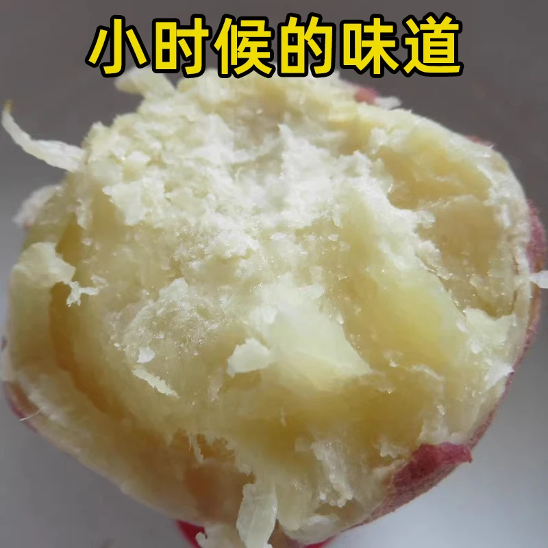 白心地瓜新鲜好吃粉糯香甜