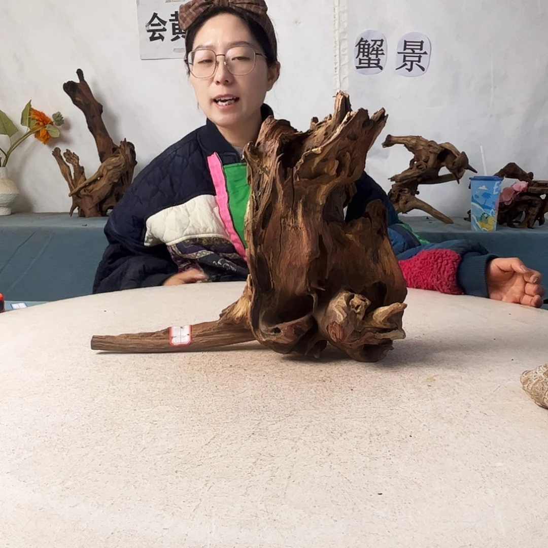沉木造景爬宠造景