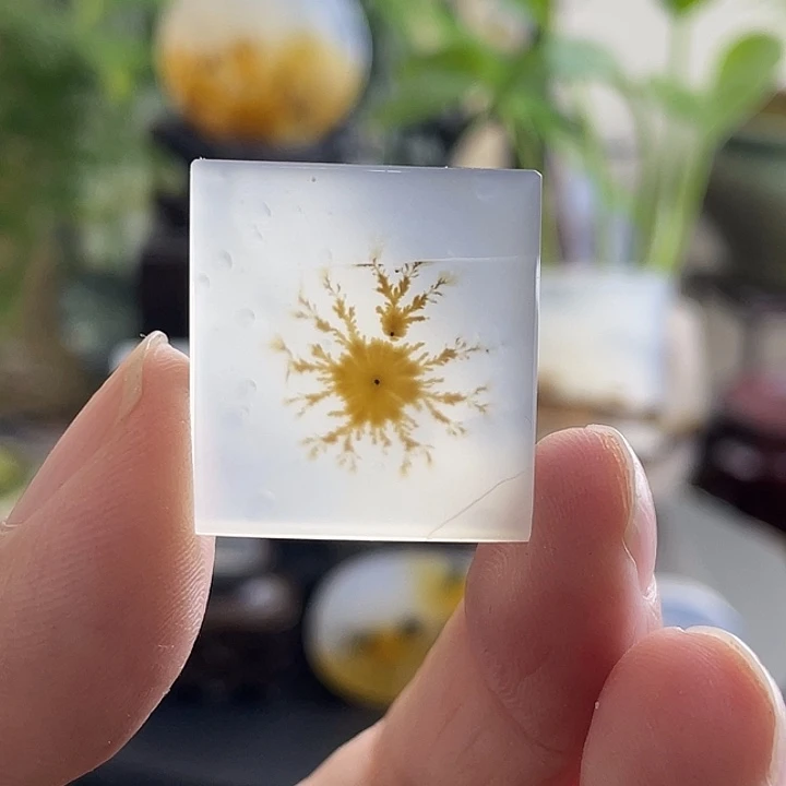 玛瑙/玉髓未镶嵌珠宝半成品