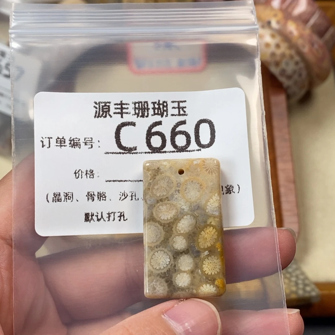 凛***硅化玉未镶嵌颈饰