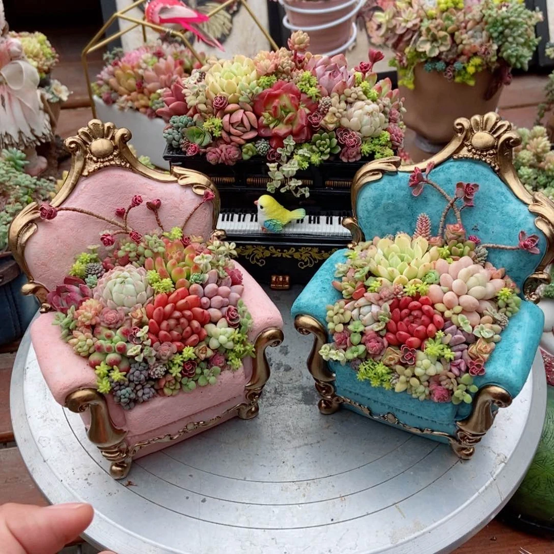 一钢琴一对沙发带植物成品发货