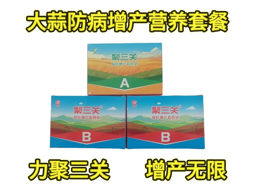 聚三关年后三遍大蒜套餐