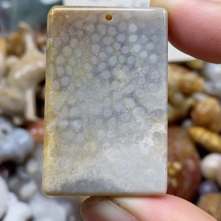 硅化珊瑚（珊瑚玉）未镶嵌颈饰
