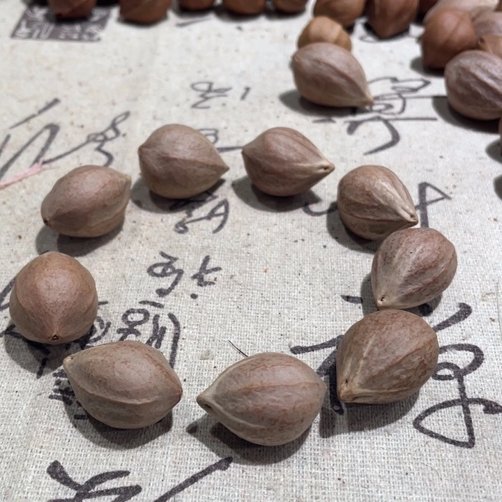 手串/手链橄榄核橄榄核10课