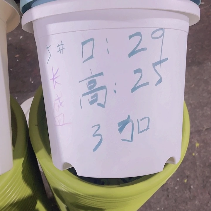 树脂长盛5号白色3个带托