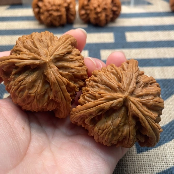 张***坤核桃白狮子47核桃