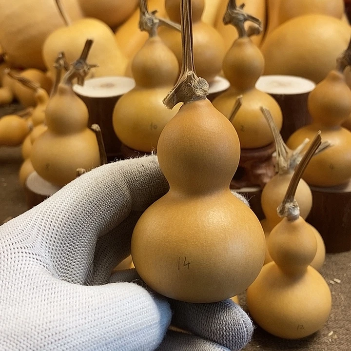 文玩葫芦 完美主义者 慎拍14