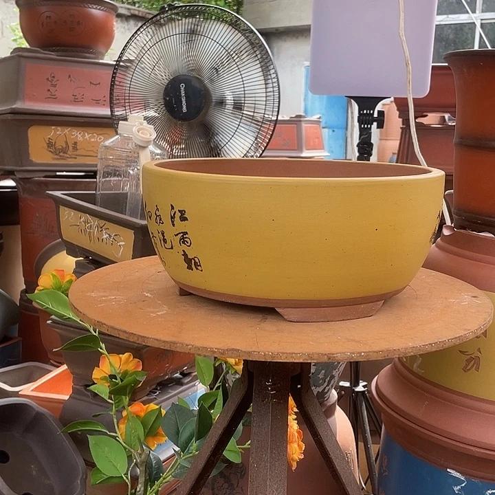 黄色江山如画大花盆紫砂花盆