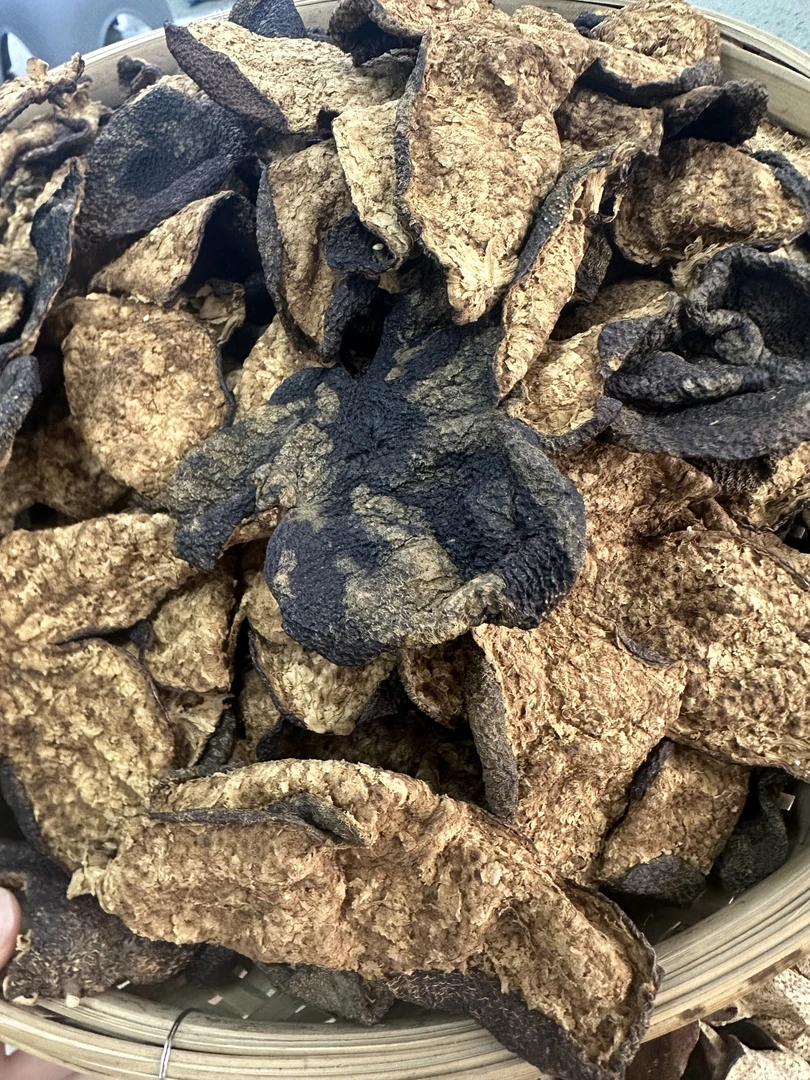 2018天马圈枝冬后狗腩皮   糯香糯甜