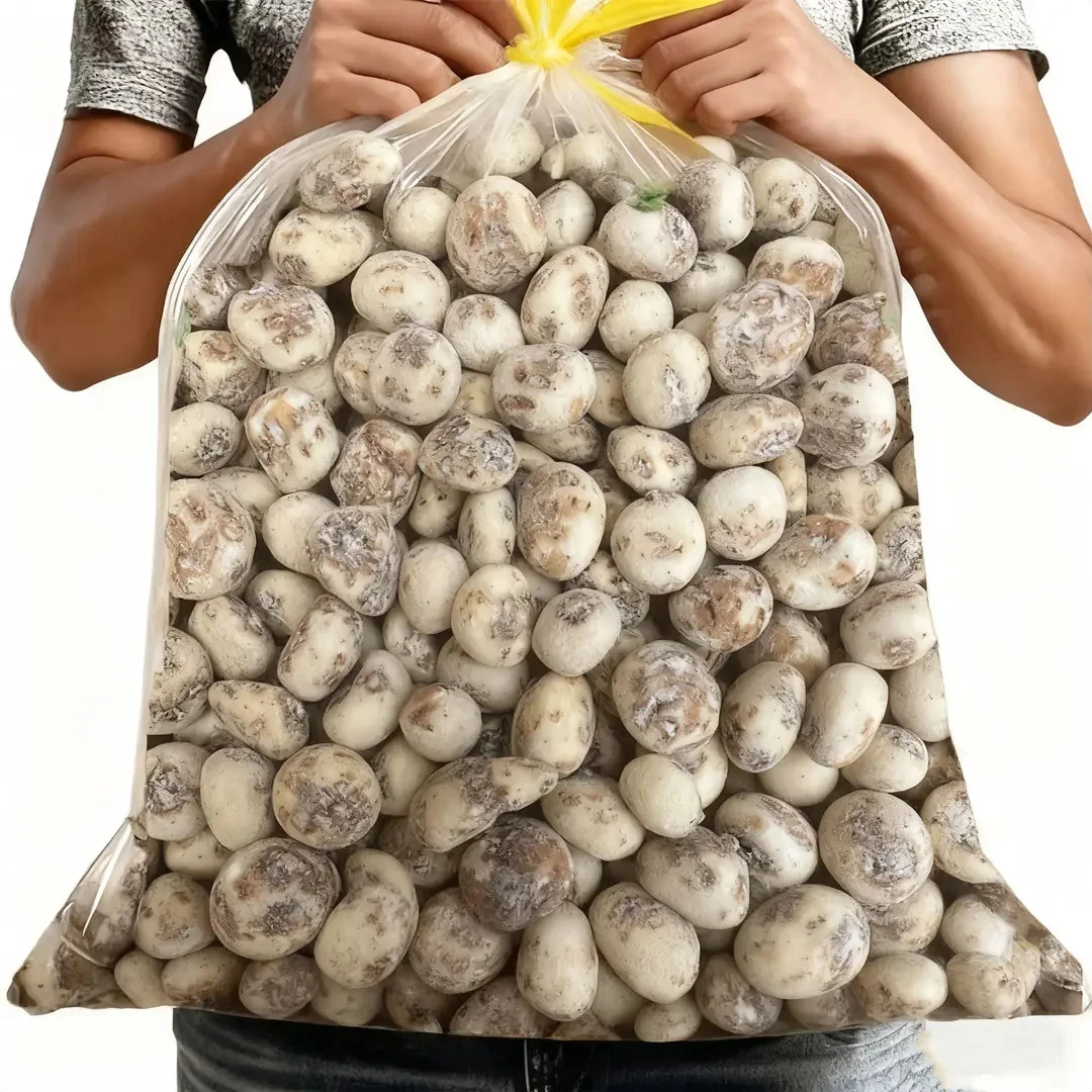 【半价抢一斤！】新疆去皮油莎豆大颗粒虎坚果地下核桃杂粮休闲零食