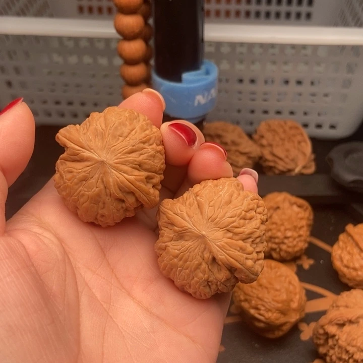 核桃྅****38尺寸铁锤妹妹