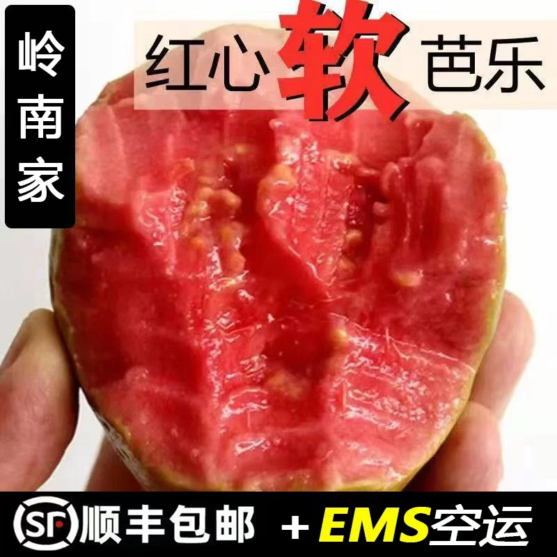 【产地直发】广西新鲜软心芭乐果白心红心3/5斤包邮