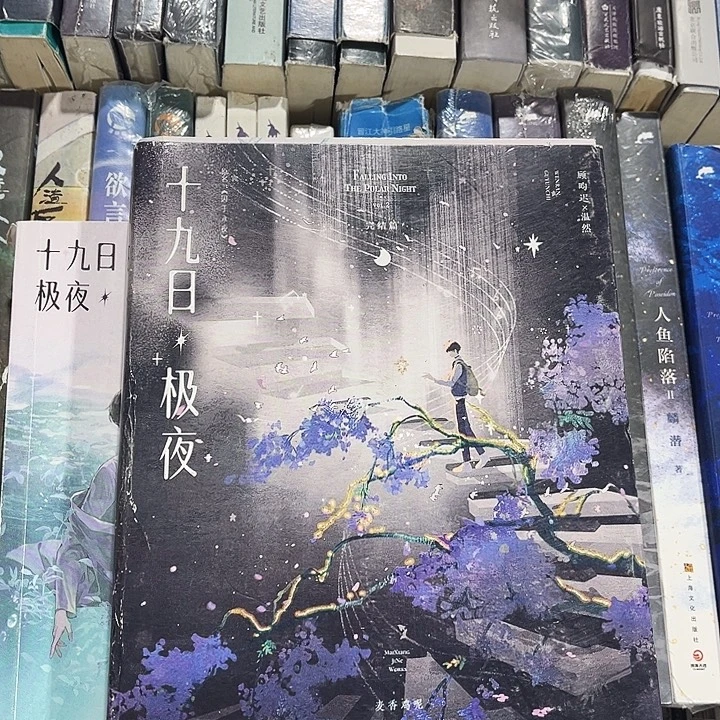 十九日极夜全新全套带周边未删减