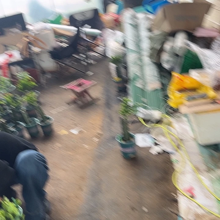 张***林30号011黄000000000