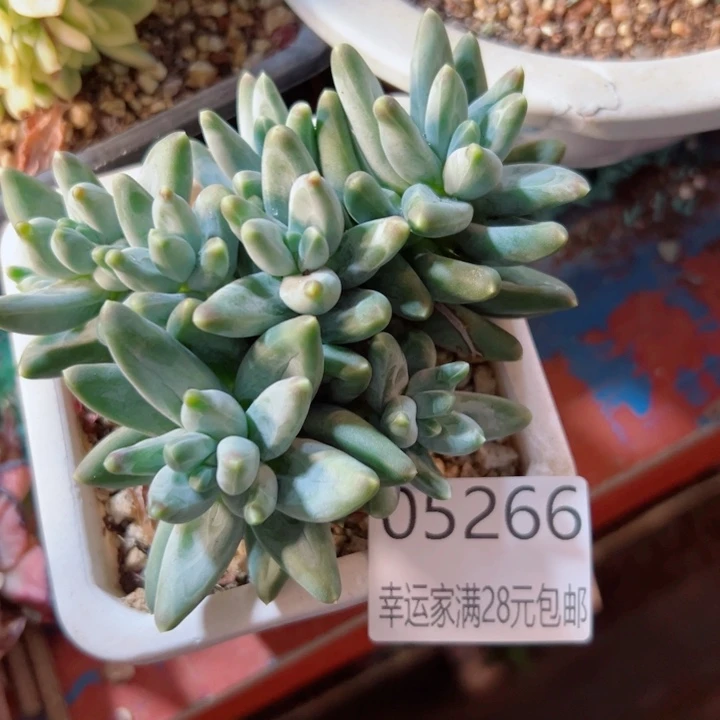 幸运的是我还没遇到过