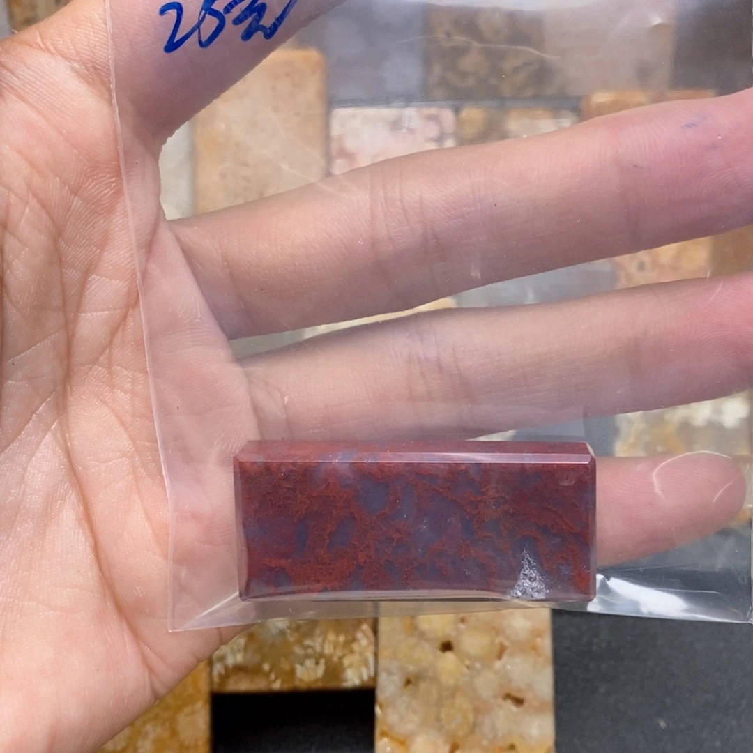 乱***河硅化珊瑚(珊瑚玉)未镶嵌颈饰