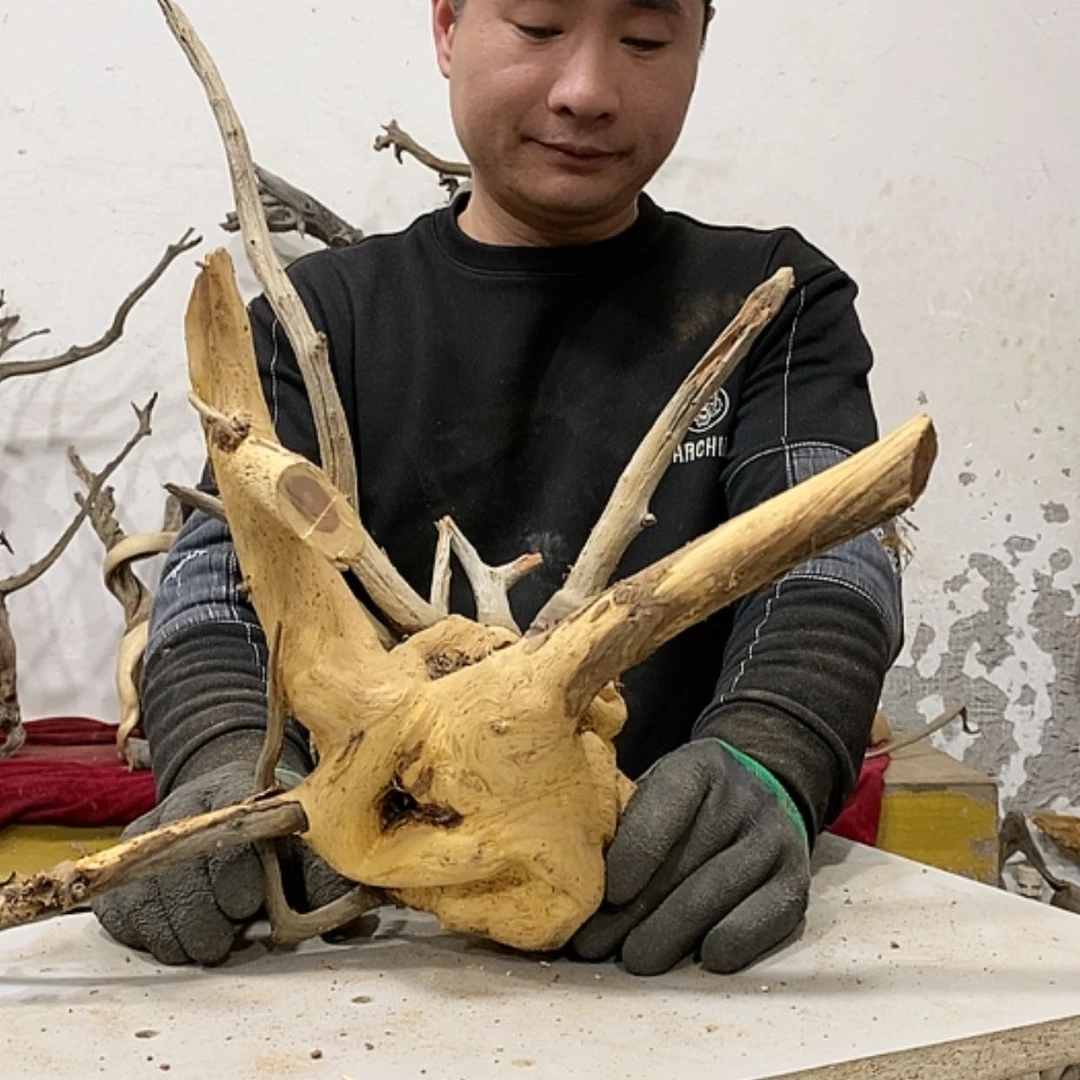 【闪购商品】柏木山*工我们都是好孩子