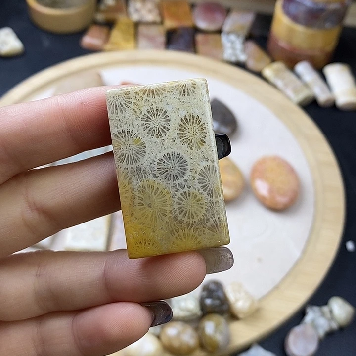 硅化玉未镶嵌颈饰9