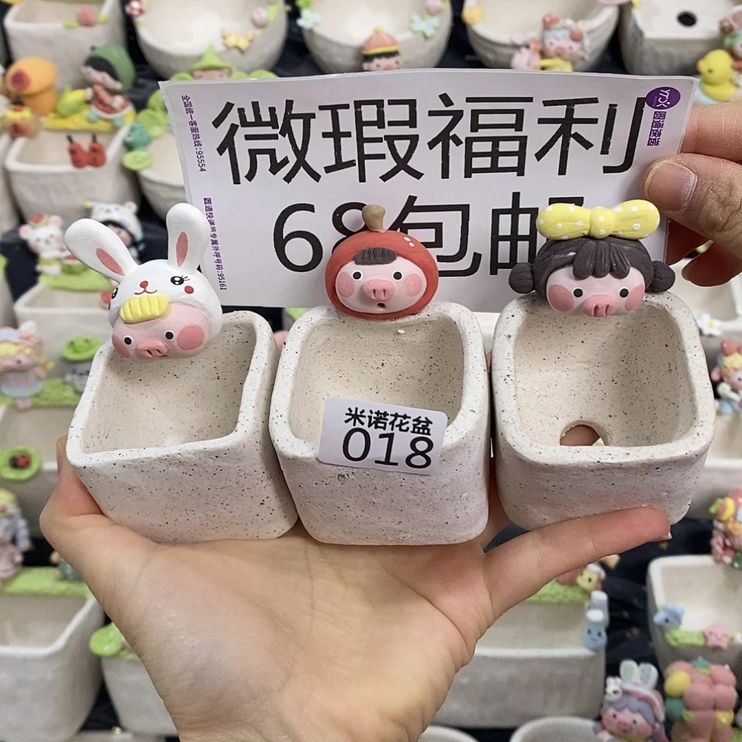 米诺多肉植物花盆