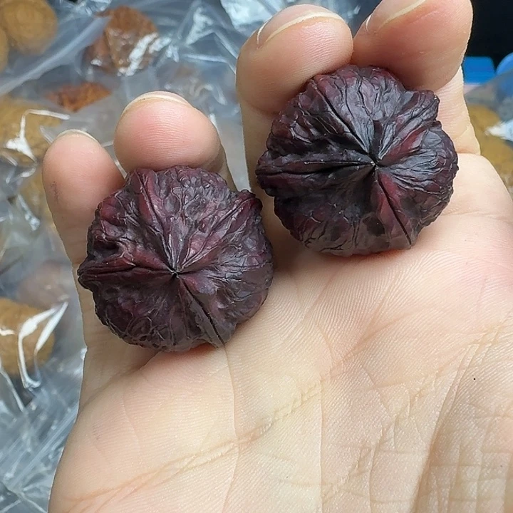 把件文玩核桃8号红灯龙30尺