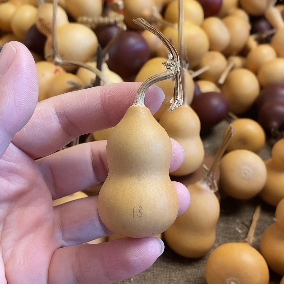 文玩葫芦 完美主义者 慎拍18