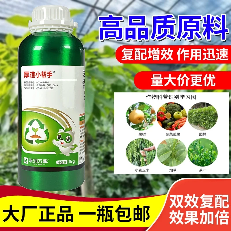 高含量农用双元复配苯甲吡唑酯花卉大田蔬菜果树防护速效杀菌剂