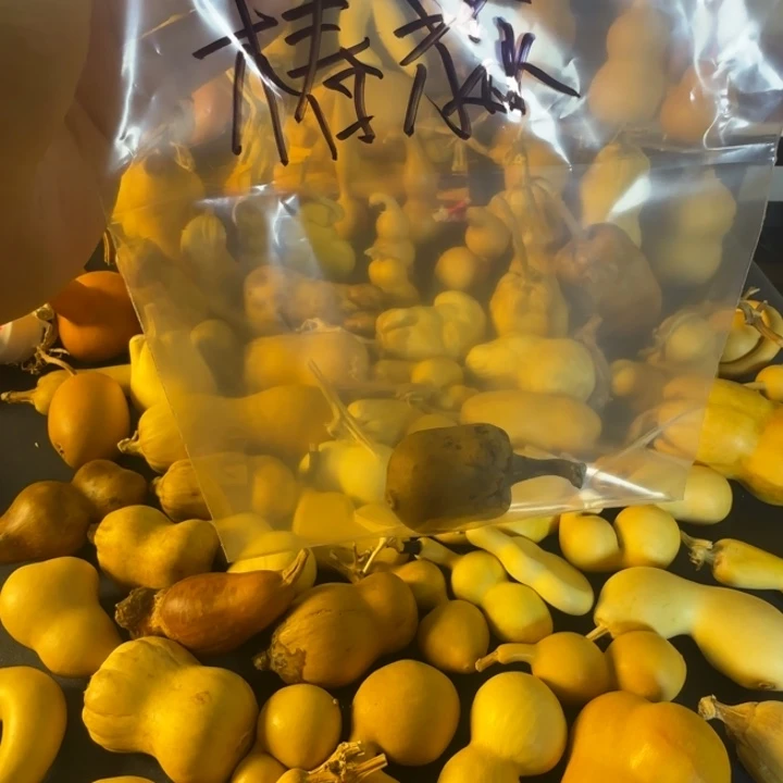 椿***淼绒面双方艰苦奋斗接电话看看好哥哥红红火火