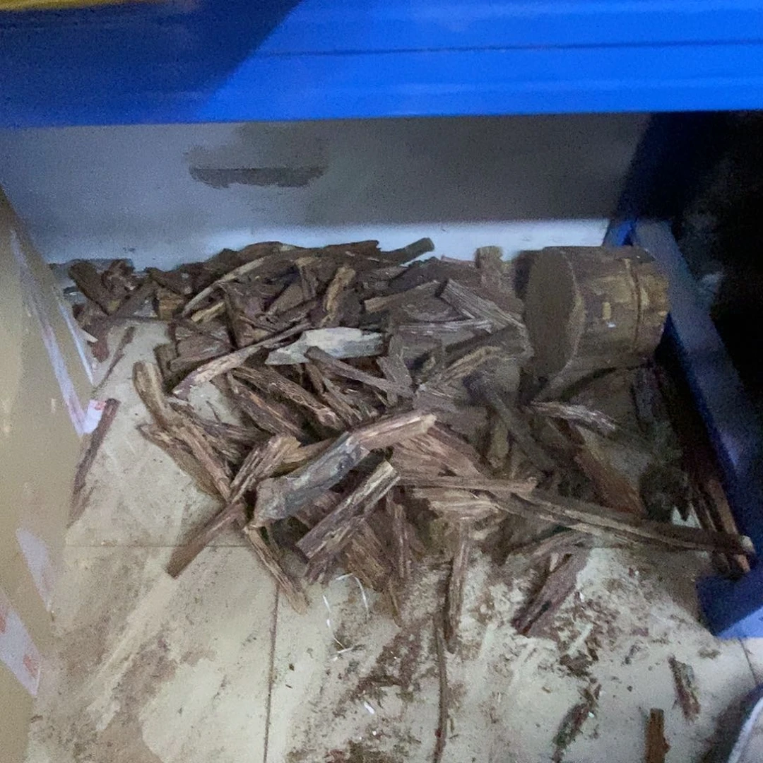 同**人大叶大粉1斤香油拍