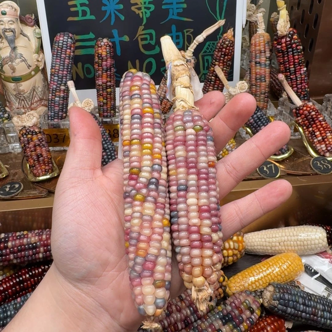 柏香籽/百香籽吊坠粥*?