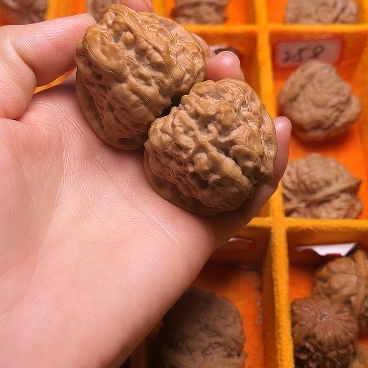 核桃涞水山地果蛤莫头44尺